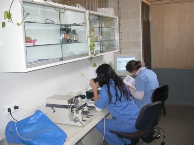 Voluntarias e el laboratorio de anatomía patológica